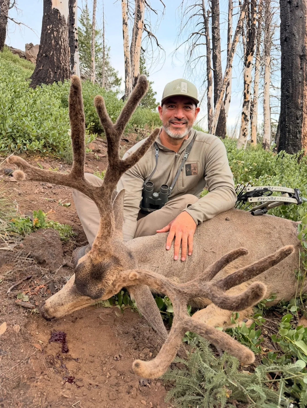 A 20-Year Quest for 200