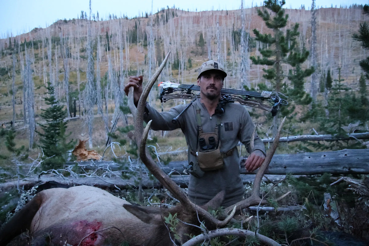 A True Wilderness Bull